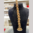 Hira Collections Gorgeous Crystal Stone And Pearl Hair Choti Wedding & Festive Look  