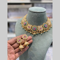 Hira Collections Traditional Indian Pota Stone And Pearl Choker Necklace Set