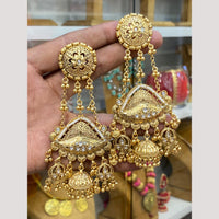Hira Collections Glamorous Pota Stone And Pearl Jhumki Earrings