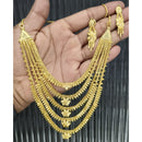 Pari Art Jewellery Forming Necklace Set