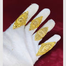 Pari Art Jewellery Designer Forming Assorted Design (1 Pc)