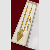 Pari Art Jewellery Royal Style Forming Long Necklace Set