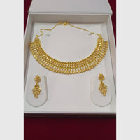 Pari Art Jewellery Royal Style Forming Necklace Set