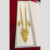 Pari Art Jewellery Royal Style Forming Long Necklace Set