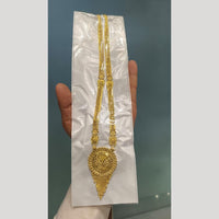 Pari Art Jewellery Graceful Designer Forming Long Necklace