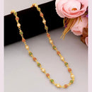 Kavita Art Gold Plated Beads Mala