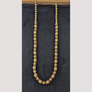 Kavita Art Gold Plated Long Necklace Set