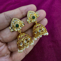 Kavita Art Designer Pota Austrian Stone And Pearl Jhumki Earrings