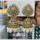 Kavita Art Designer Crystal Stone And Pearl Jhumki Earrings