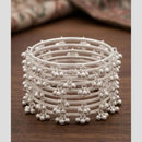 Kavita Art Elegant Silver Plated kashmiri Bangles Set