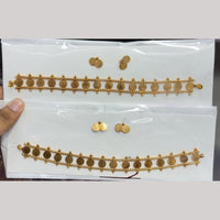 Kavita Art Elegant Choker Necklace Set for Women