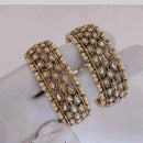 SNERA Gold Plated Crystal Stone And Pearls Bangles Set