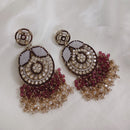 SNERA Gold Plated Crystal Stone And Beads Dangler Earrings