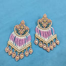 SNERA Gold Plated Kundan Stone And Pearls Choker Necklace Set