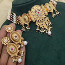 SNERA Gold Plated Kundan Stone And Pearls Choker Meenakari Necklace Set