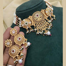 SNERA Gold Plated Kundan Stone And Pearls Choker Meenakari Necklace Set