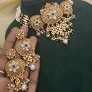 SNERA Gold Plated Kundan Stone And Pearls Choker Meenakari Necklace Set
