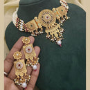 SNERA Gold Plated Kundan Stone And Pearls Choker Meenakari Necklace Set