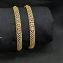 SNERA Gold Plated Pota Stone & Austrain Stone Bangles Set