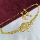 SNERA Traditional Gold Plated Designer Necklace Set with Earrings