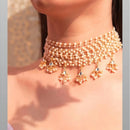 SNERA Ethnic Kundan Stone And Pearl Choker Necklace