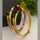FS Collection Gold Plated Meenakari Bangle Set