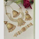 FS Collection Royal Austrian Stone And Pearl Jewellery Combo Set