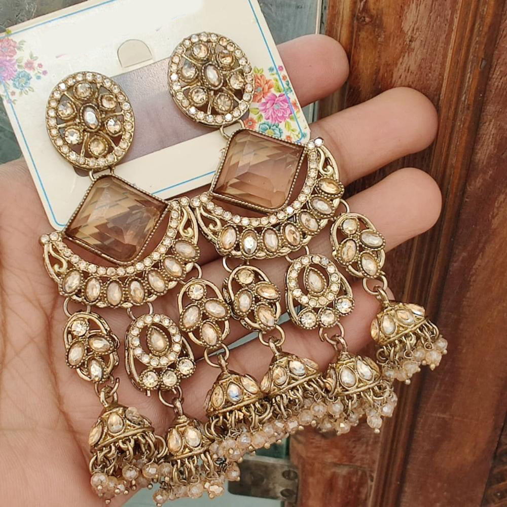FS Collection Royal Look Pota Stone And Pearl Jhumki Earrings