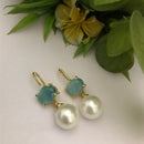 FS Collection Crystal Stone Designer Hook Earrings