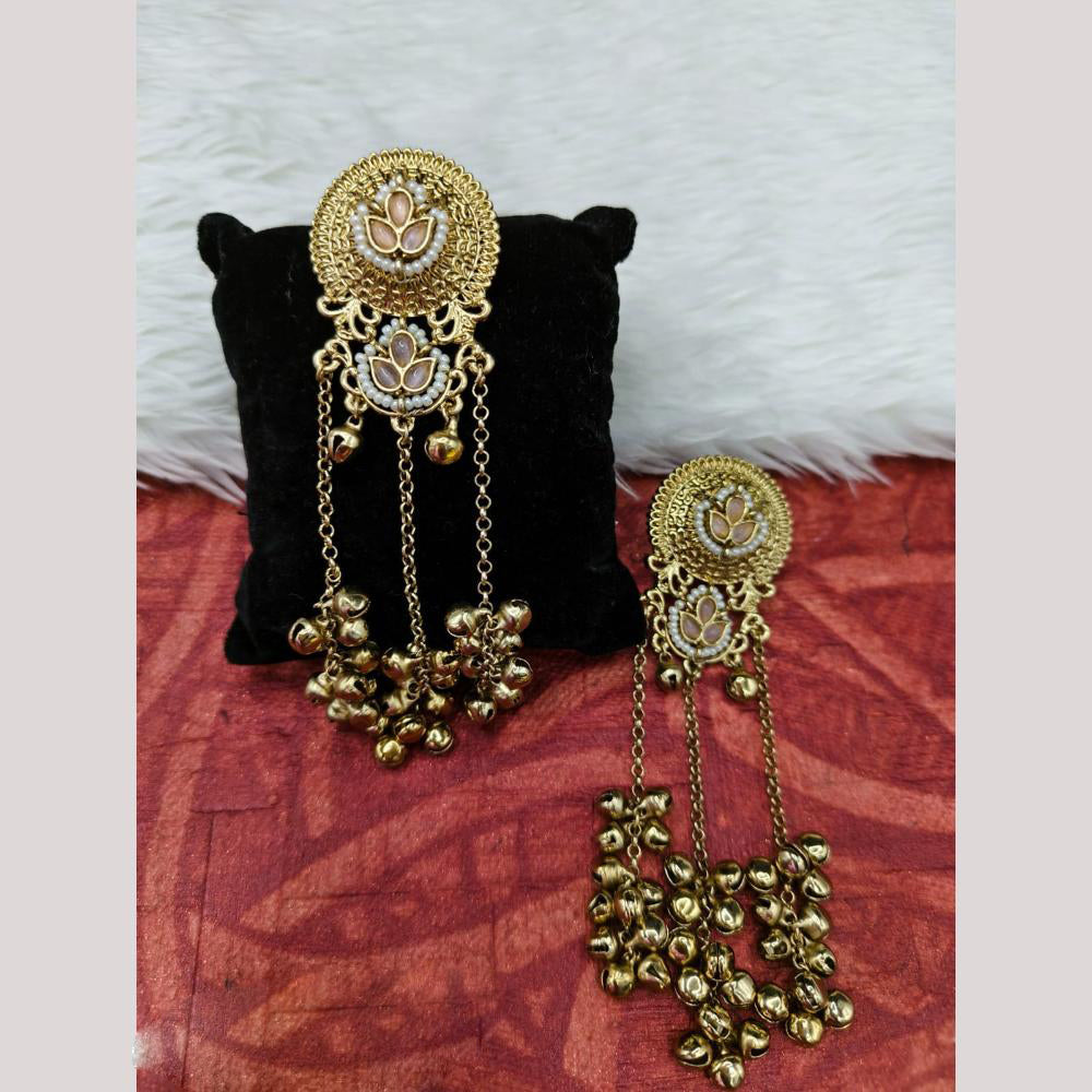 FS Collection Designer Kashmiri Pota Stone And Ghughroo Dangler Earrings