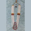 Ravechi Art Gold Plated Pearls Long Necklace