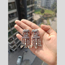 Akruti Collection Oxidised Plated Pota Stone And Pearls Dangler Earrings