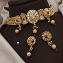 Akruti Collection Traditional Gold Finish Pota And Pearl Choker Necklace Set
