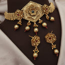 Akruti Collection Traditional Gold Finish Pota And Pearl Choker Necklace Set