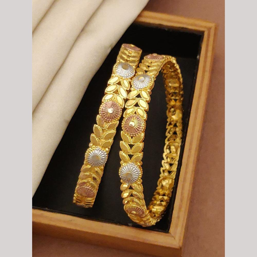 Akruti Collection Elegant Bangles Set
