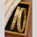 Akruti Collection Elegant Bangles Set