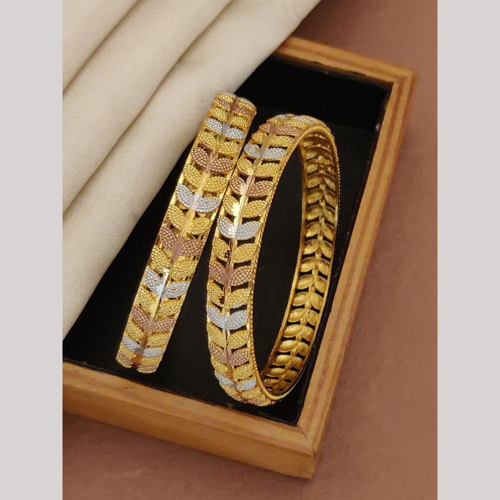 Akruti Collection Elegant Bangles Set