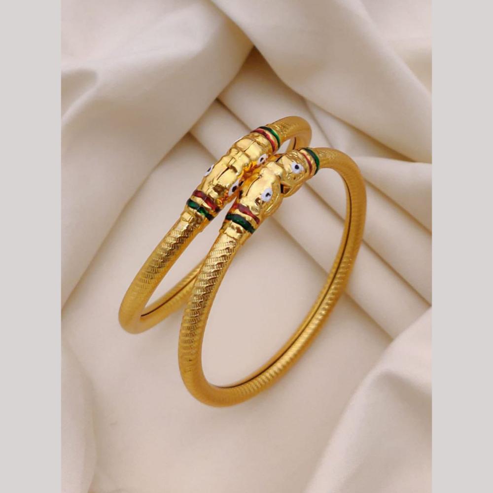 Akruti Collection Elegant Bangles Set
