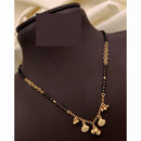 Akruti Collections Earthy Glam Pota Stone Mangalsutra