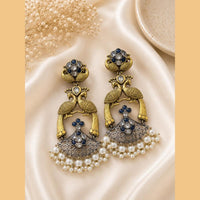 Akruti Collection Premium 2 Tone Plated Pota Stone Pearl Earrings