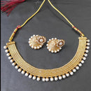 Palak Art Gold Plated Pearls Necklace Set