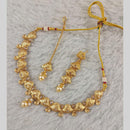 Star India Gold Plated Crystal Stone And Pearl Necklace Set