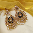 Jewel Addiction Gold Plated Crystal Stone And Pearls Dangler Earrings