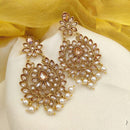 Jewel Addiction Gold Plated Crystal Stone And Pearls Dangler Earrings