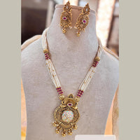 Jewel Addiction Elegant Gold Plated Pota And Pearl MeenakariNecklace Set