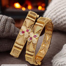 Jewel Addiction Gold Plated Pota Stone And Austrian Stone Openable Bangles Set