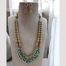 Jewel Addiction  Cultural Chic Pota Stone Long Necklace Set