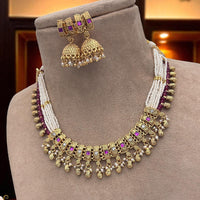 Jewel Addiction Ethnic Necklace Set Elegant Pota And Pearl  with Copper Finish
