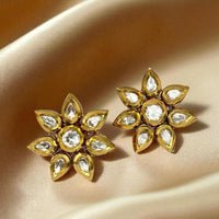 Jewel Addiction Stylish Pota Stone Stud Earrings