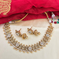 Jewel Addiction Designer Pota Stone And Pearl Necklace Set